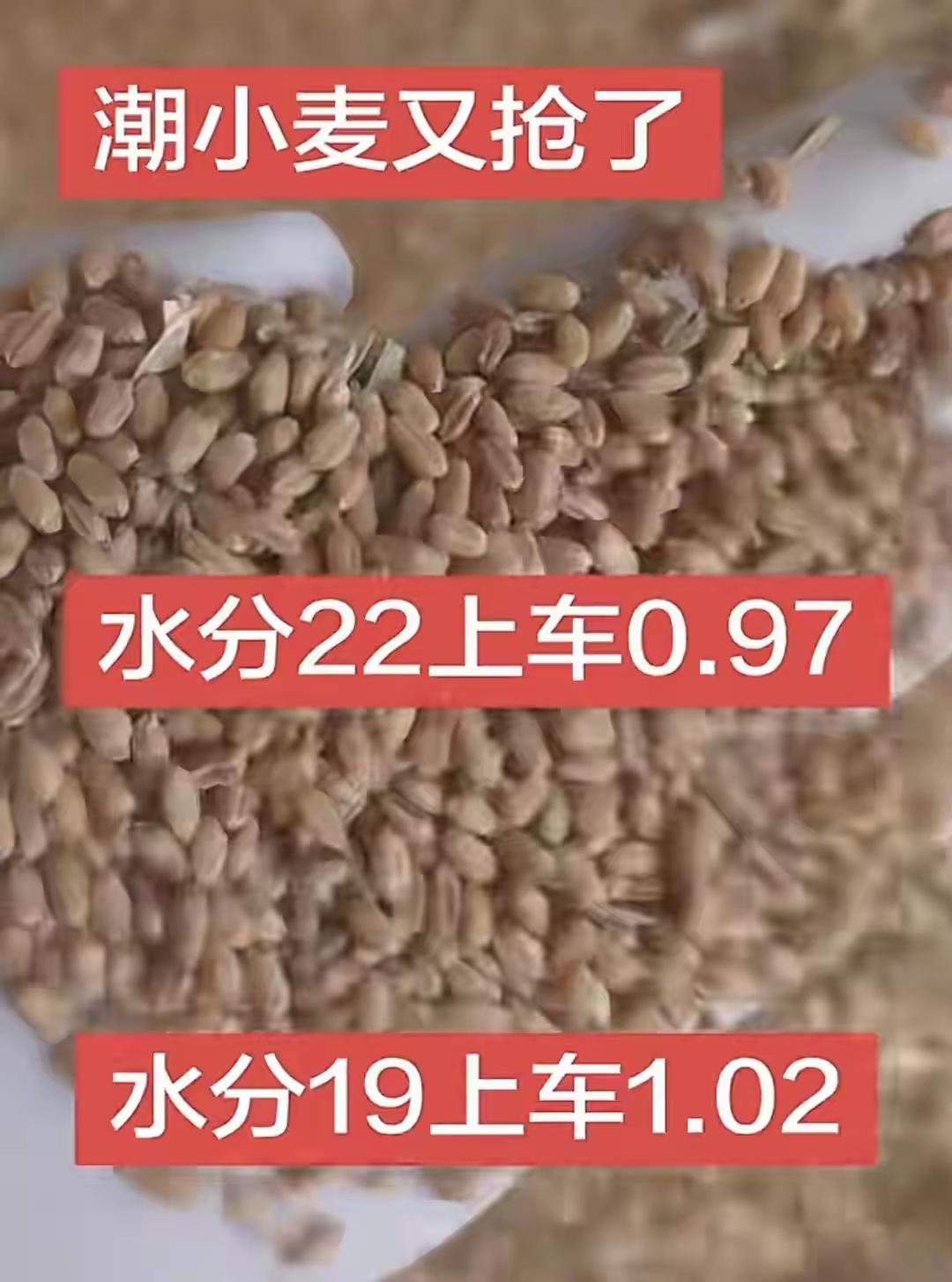 随着今年小麦不断收获上市，小麦价格也是农民朋友所关心的重点。
        