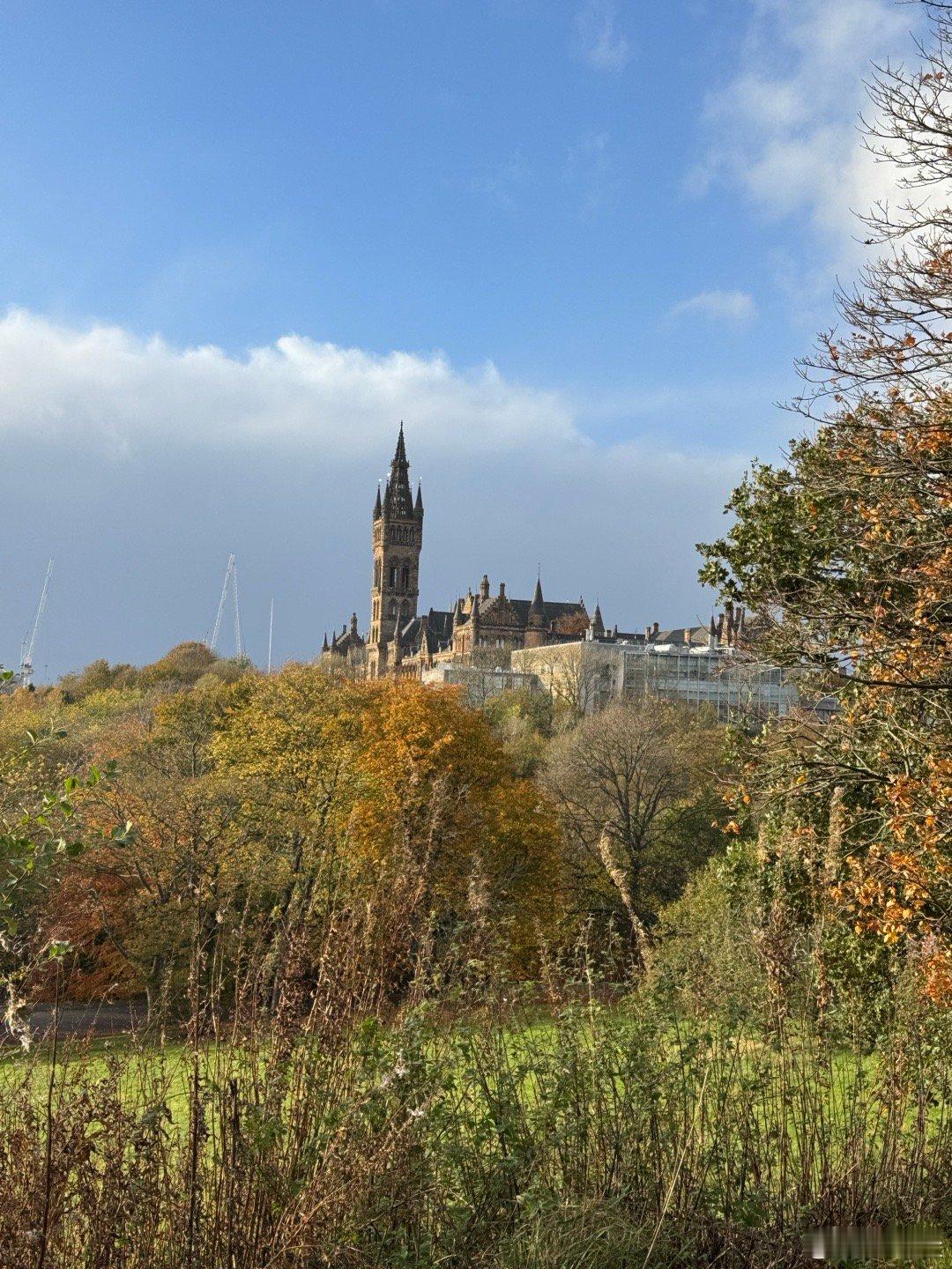 分享图片  ​​​