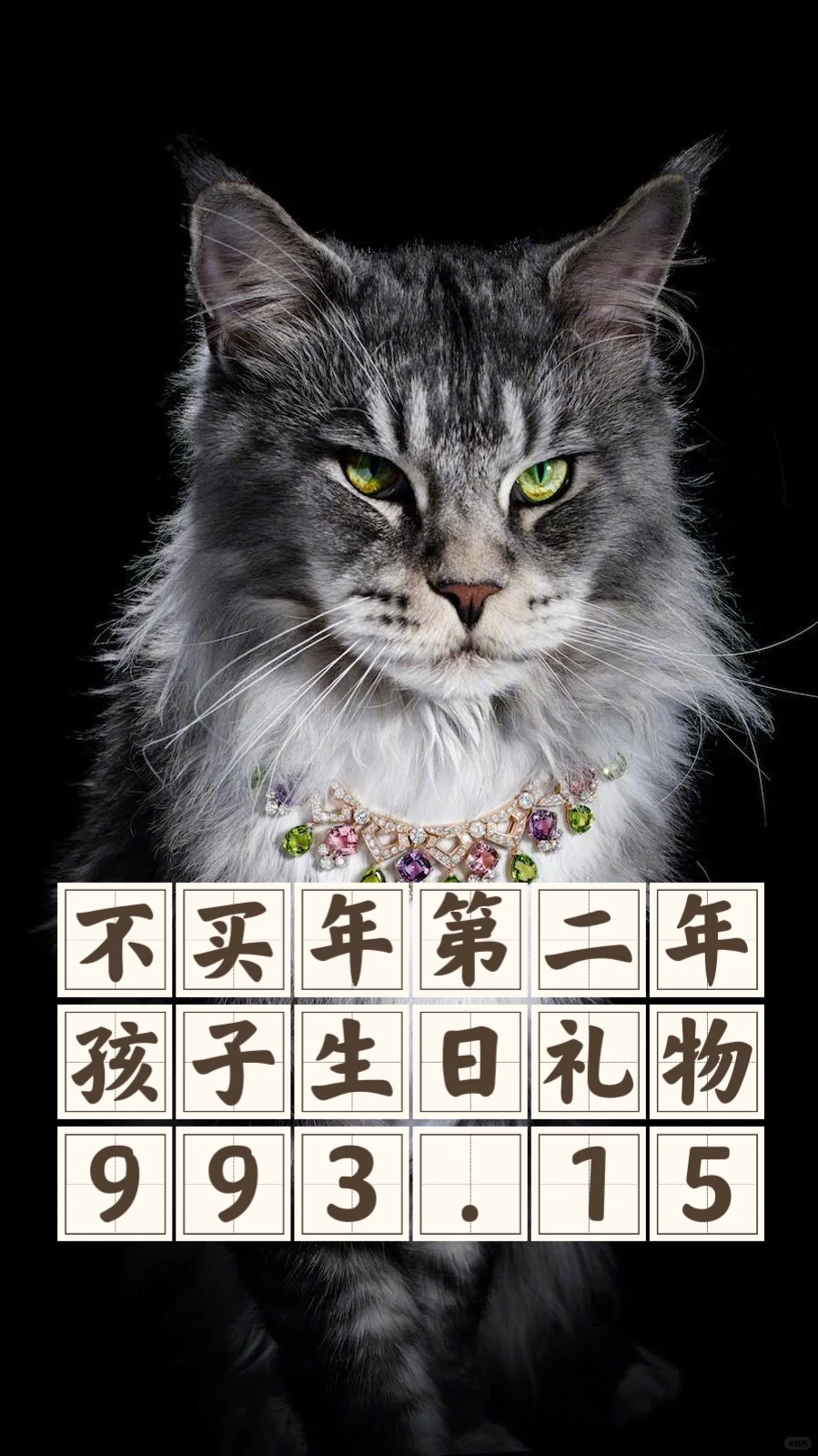 不买第二年：全年总消费2958.08元