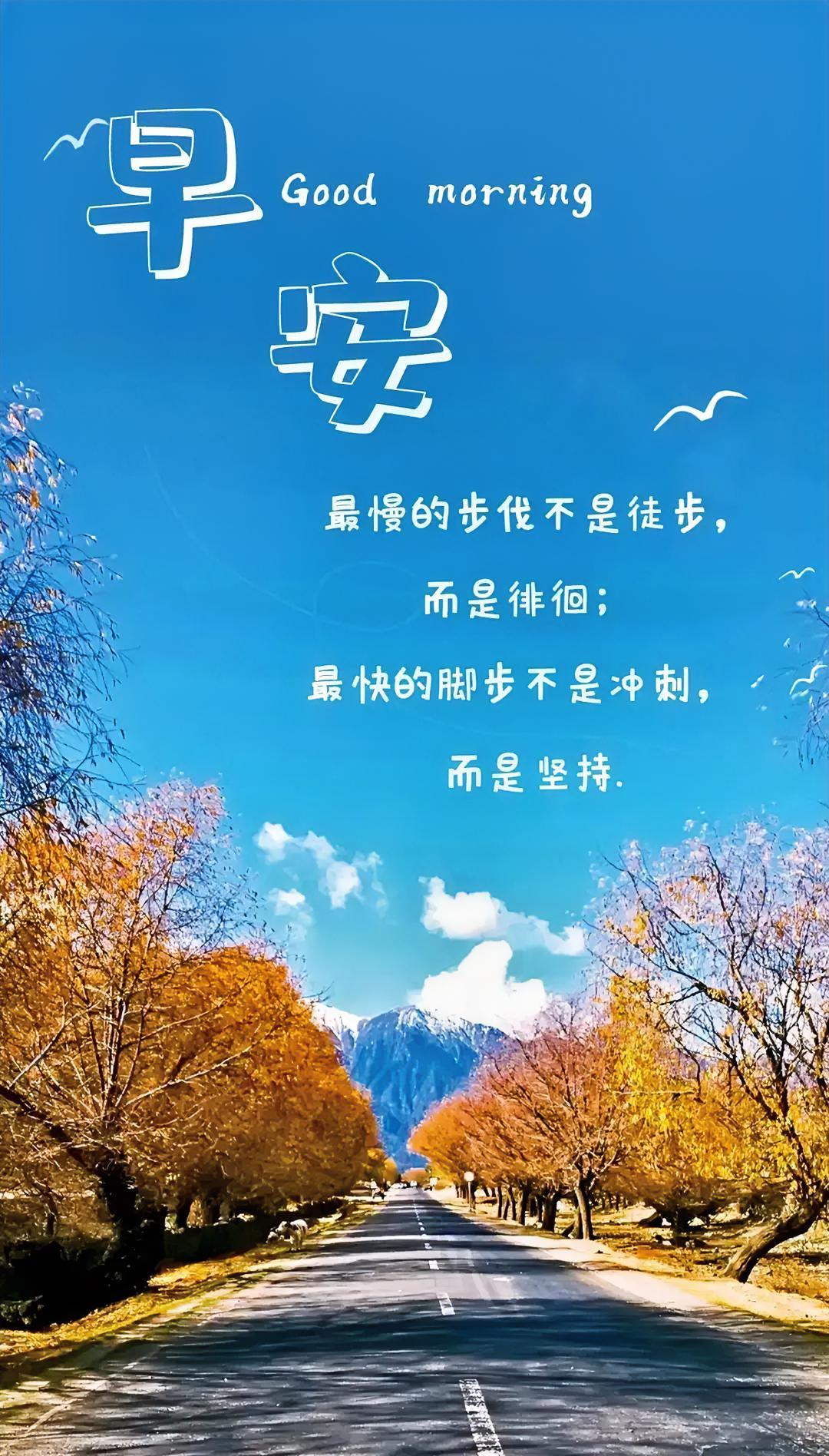 早安！秋日暖阳倾洒在路上，坚持是迈向远方的最快步伐，让我们一同奔赴美好远方。
今