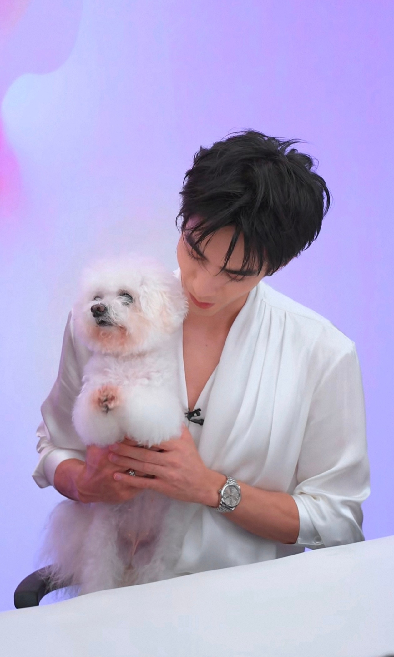 提问：图中有几只小狗🙋♀️宋威龙李佳琦局促打台球宋威龙偷偷进球后李佳琦的反应