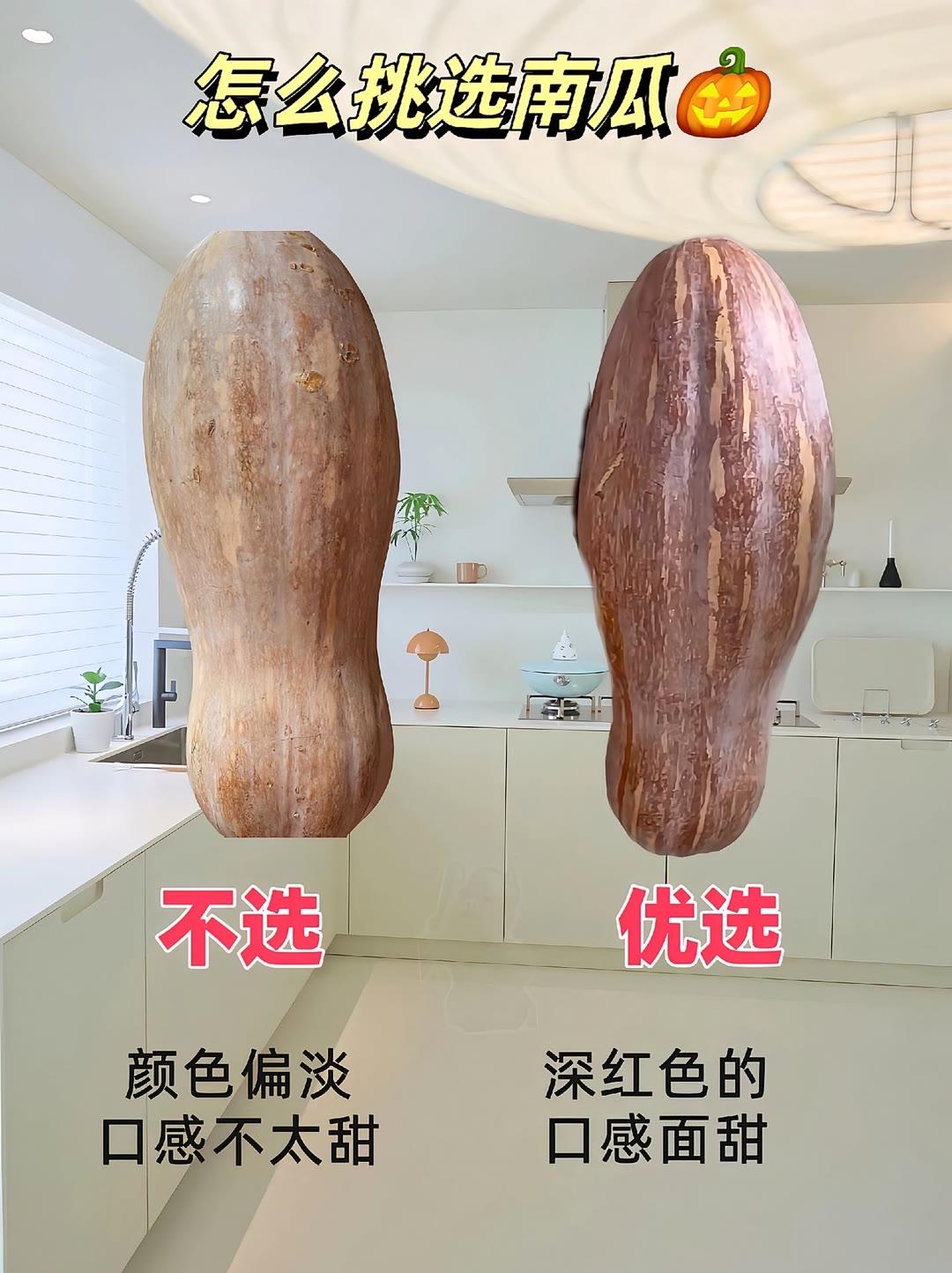 你们都怎么挑选蔬菜的呢？学会了吗 生活小常识  ＃你真的会挑选蔬菜吗买菜挑选小技