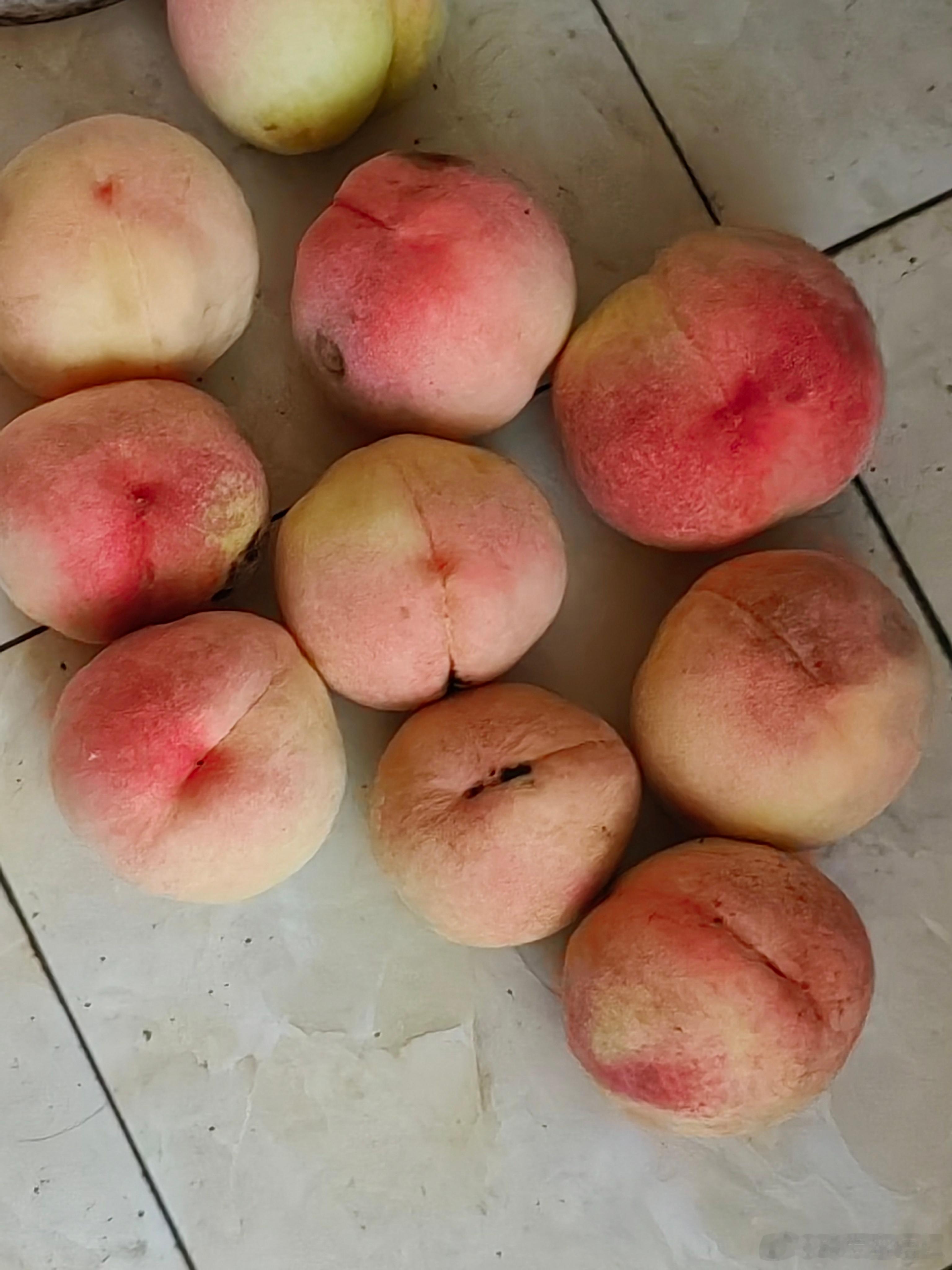 亲戚送来的阳山水蜜桃🍑 