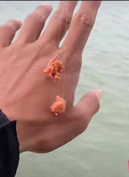 1.根据饵料包装上写的饵水比配置，多款饵料搭配且饵水比不同时要根据饵料的比例进行