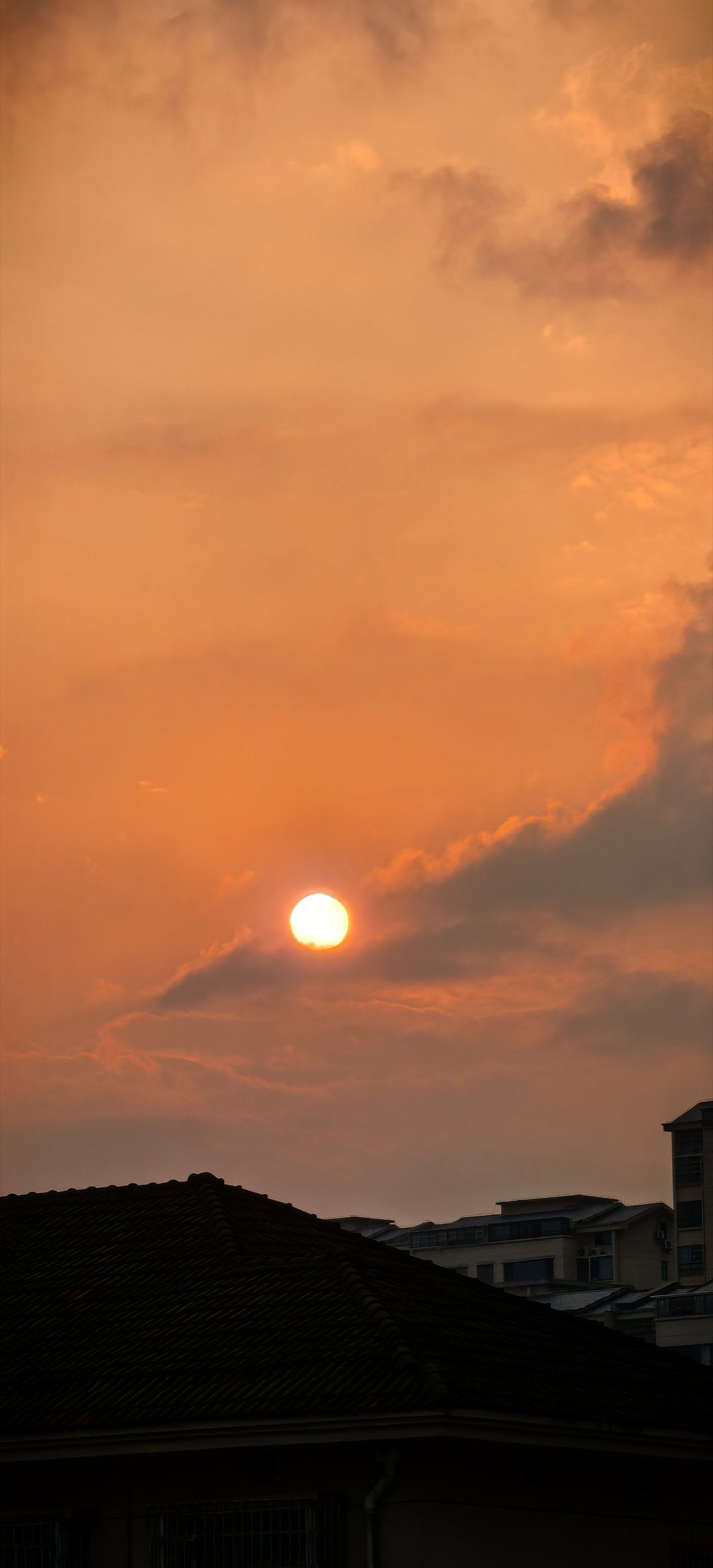 🌇美 