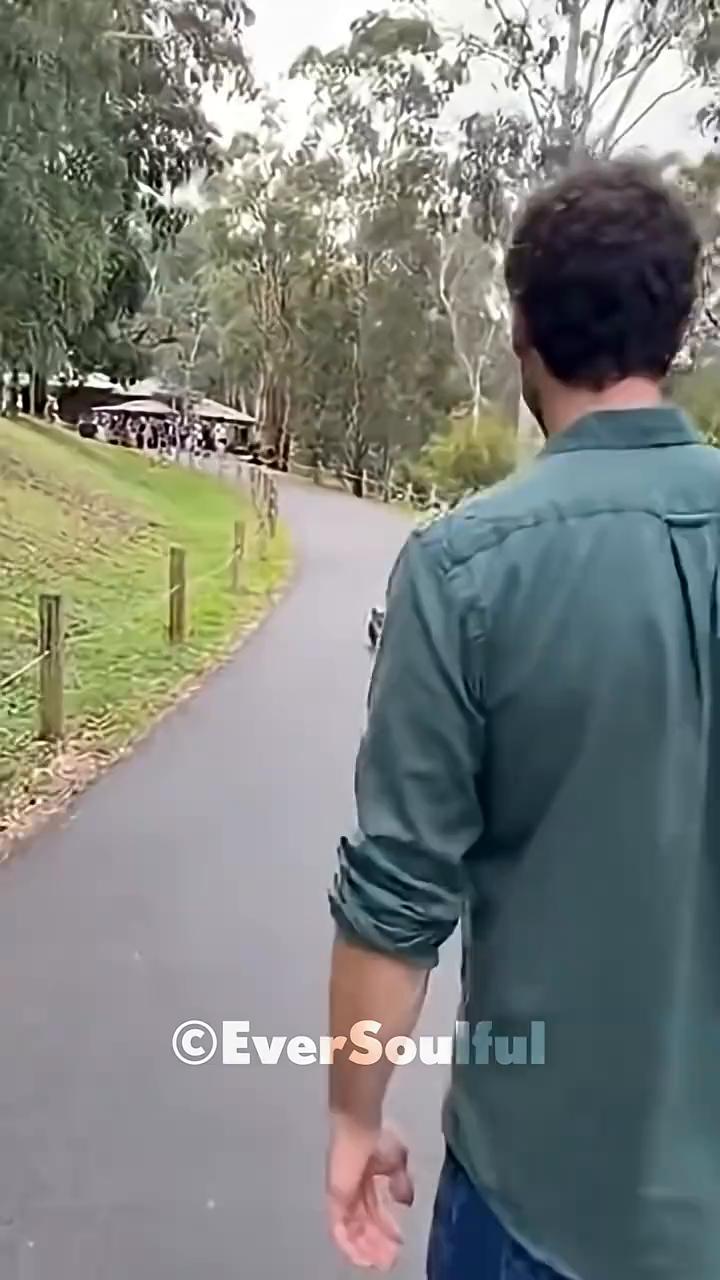 CEverSoulful。
SUBSCRIBE。
CEverSoulful。