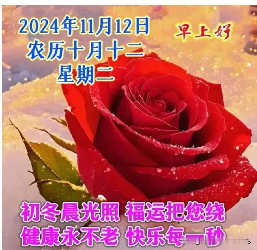 初冬的清晨，迎着明媚的阳光，一声早安，送到耳边，送上暖阳，祝你健康，心情舒畅，平