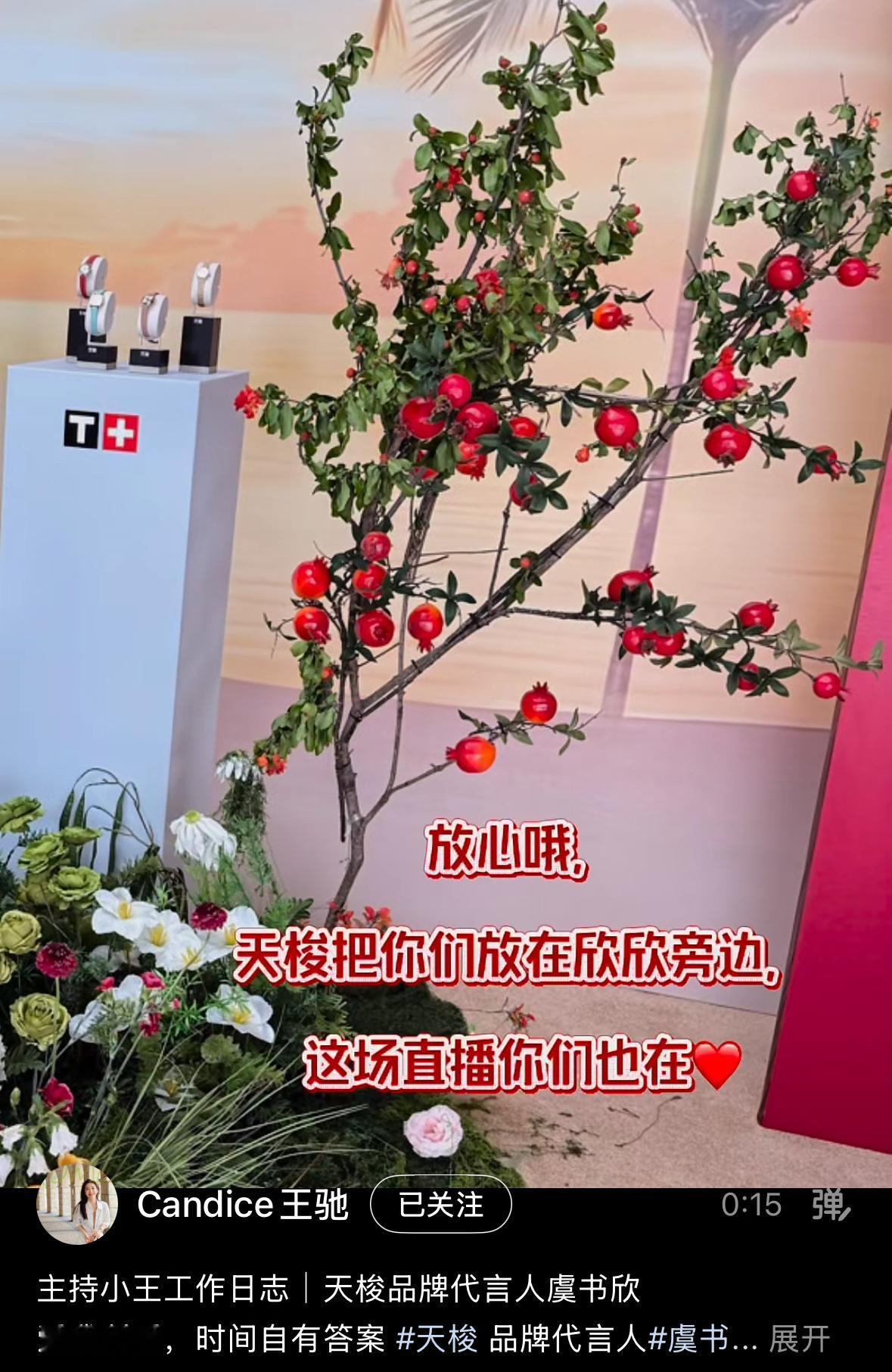 天啊石榴树🥹 