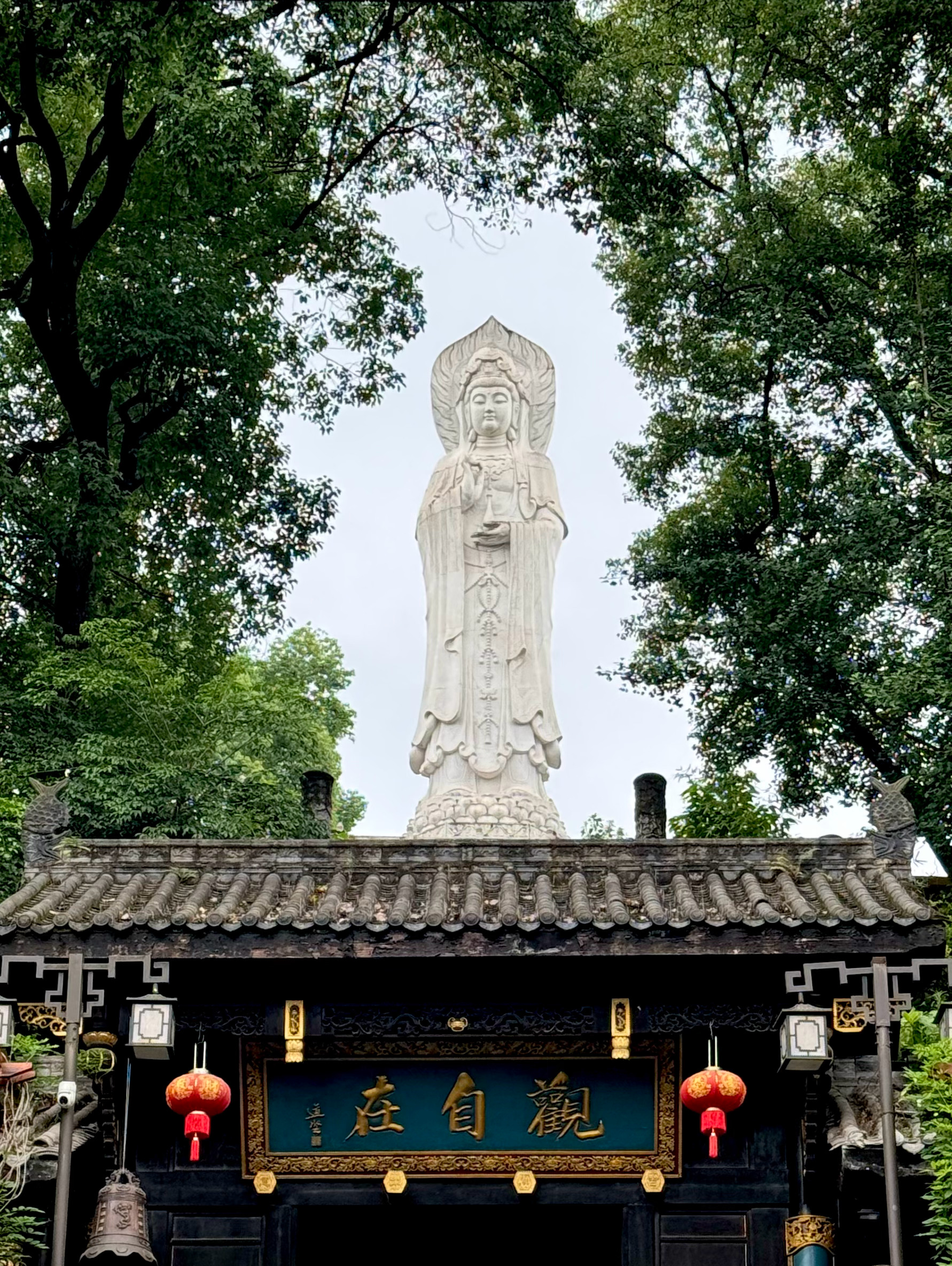 一笔一划，皆是修行🪷  ​​​