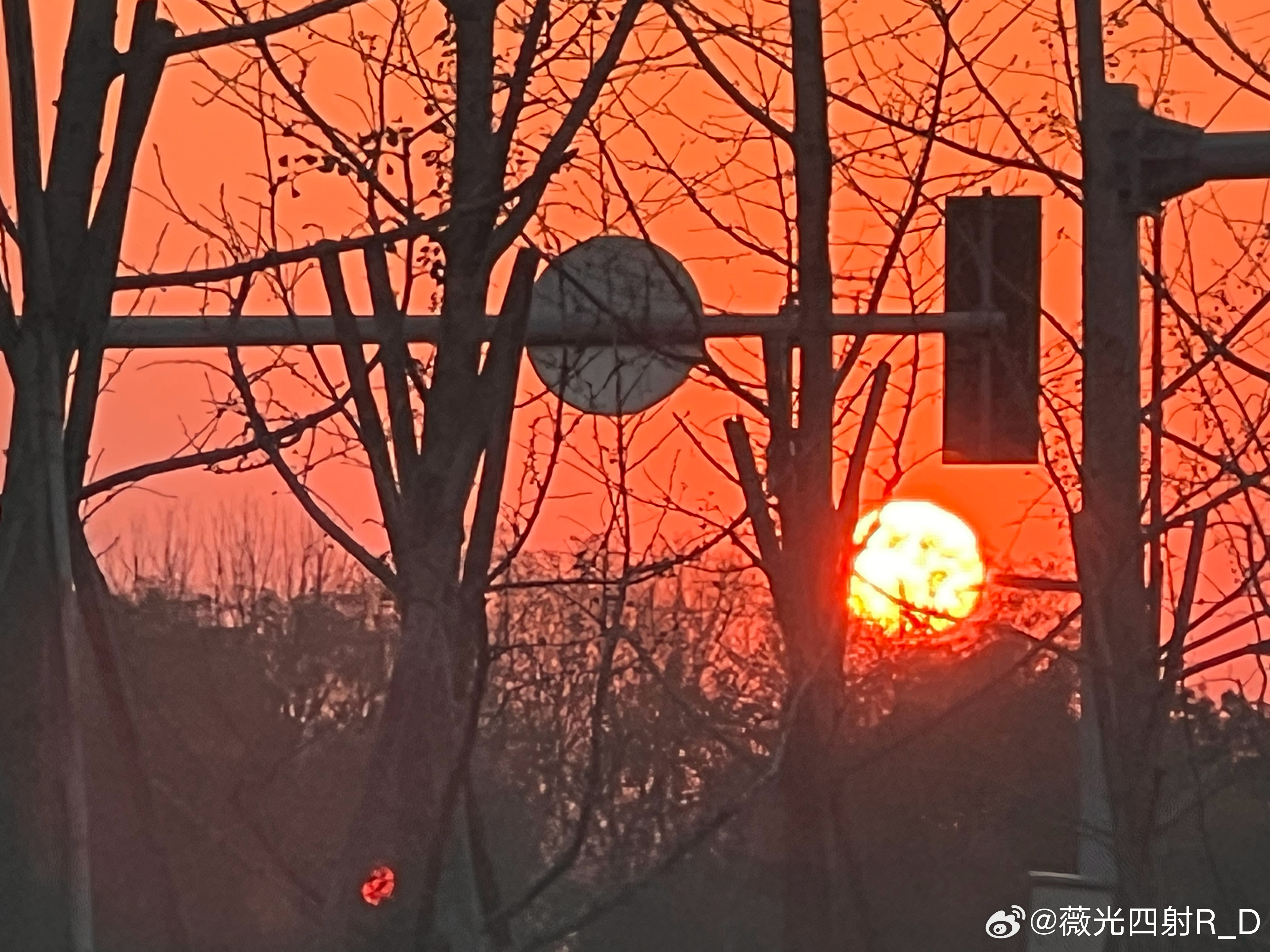 用温暖的目光看世界，世界也会回馈你美好的风景。 