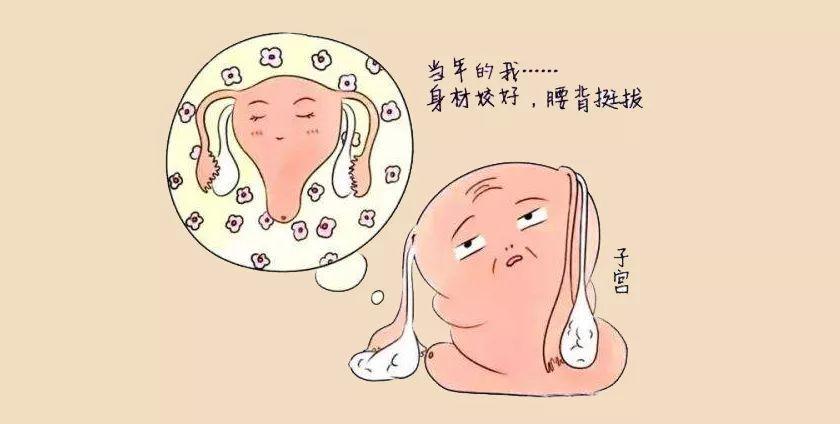#健康真探社#【加速女性衰老的行为，都和这个器官有关！】女性的卵巢对她们来说非常