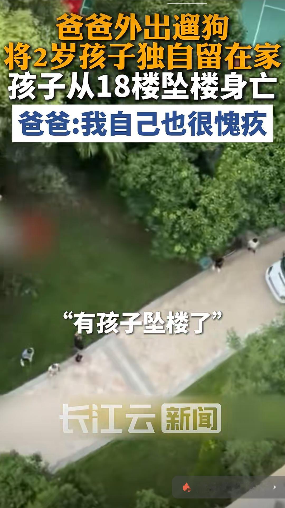 痛心！爸爸外出遛狗将两岁孩子独自留在家中，孩子从18楼坠亡！

近日重庆刘女士称