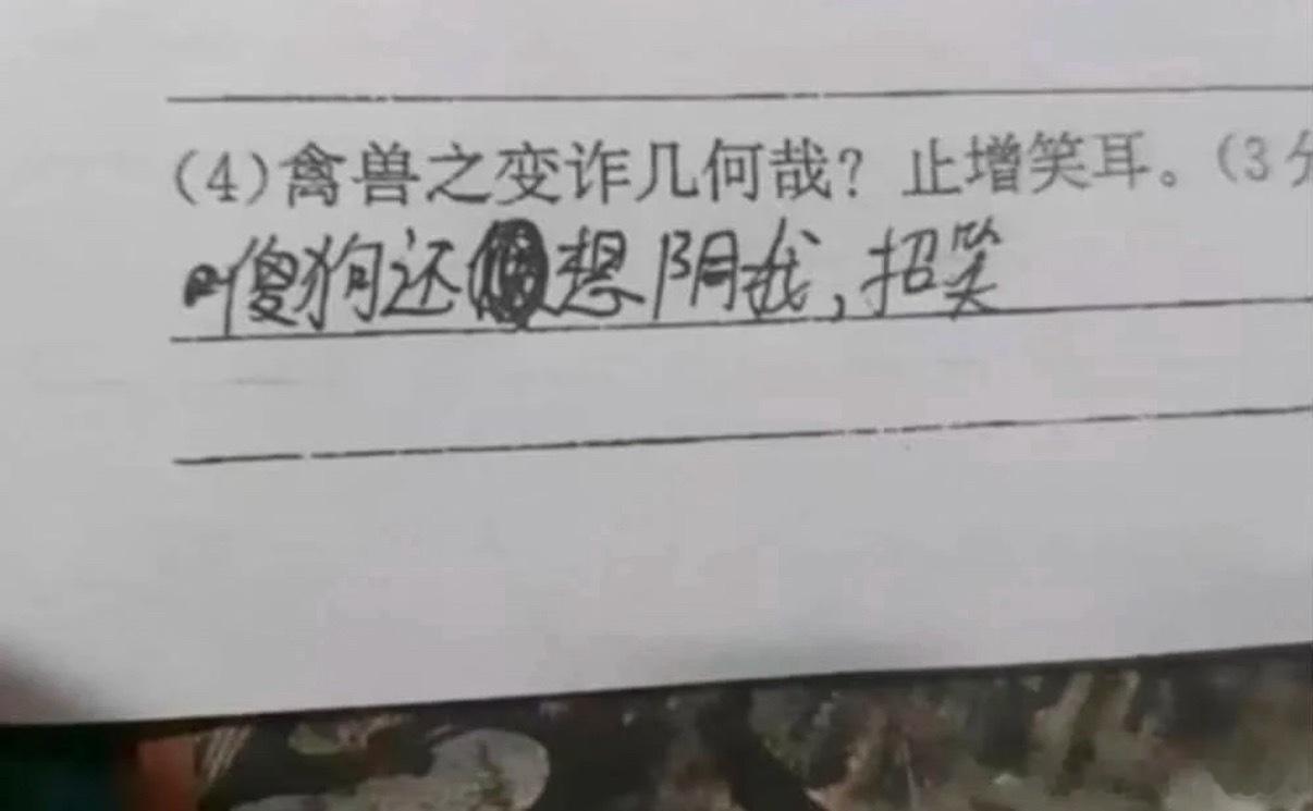 乐乐 