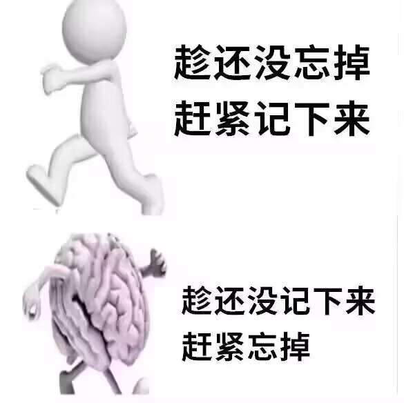 5517我的脑子 