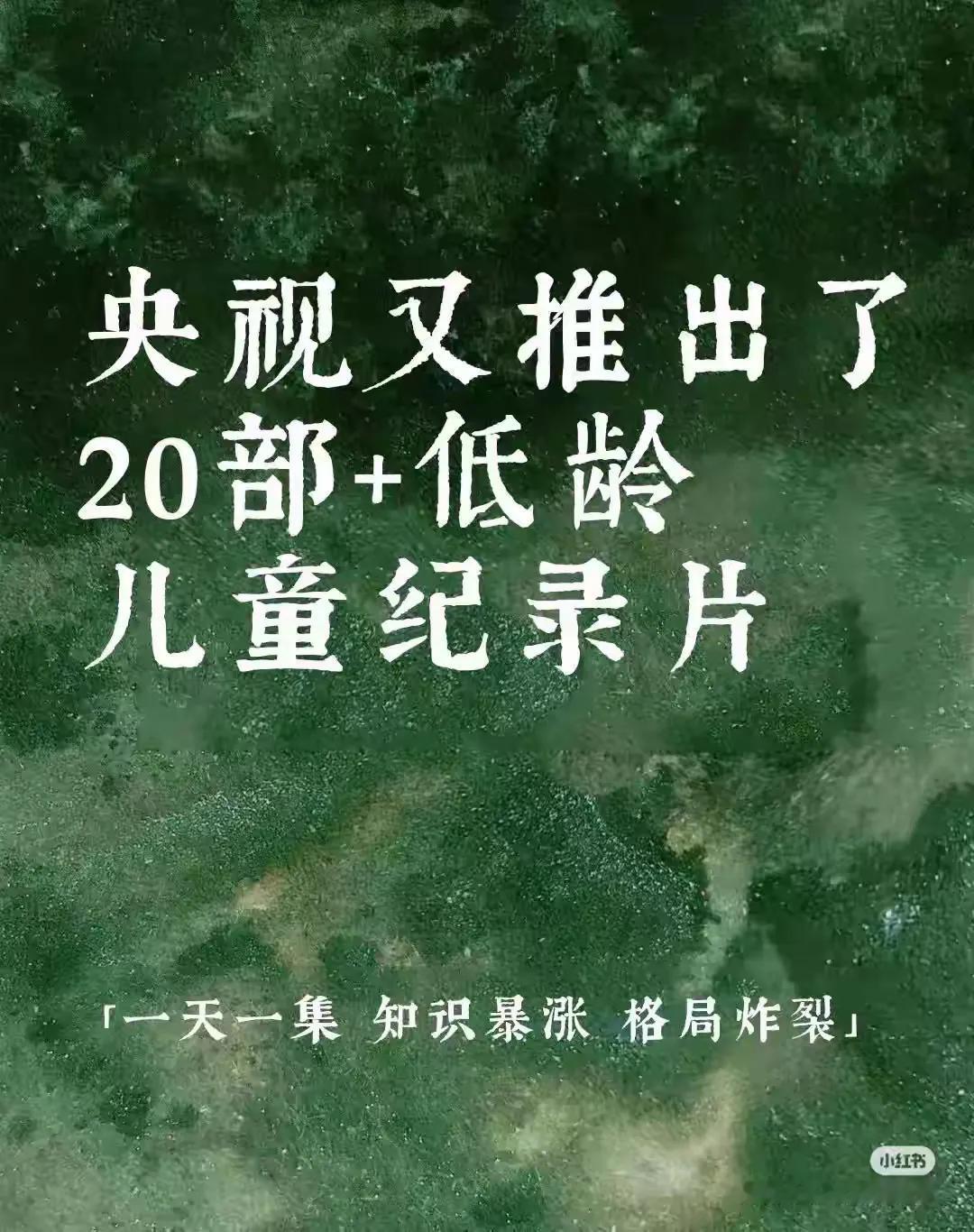 央视又推出了一波适合低龄孩子反复观看的宝藏纪录片