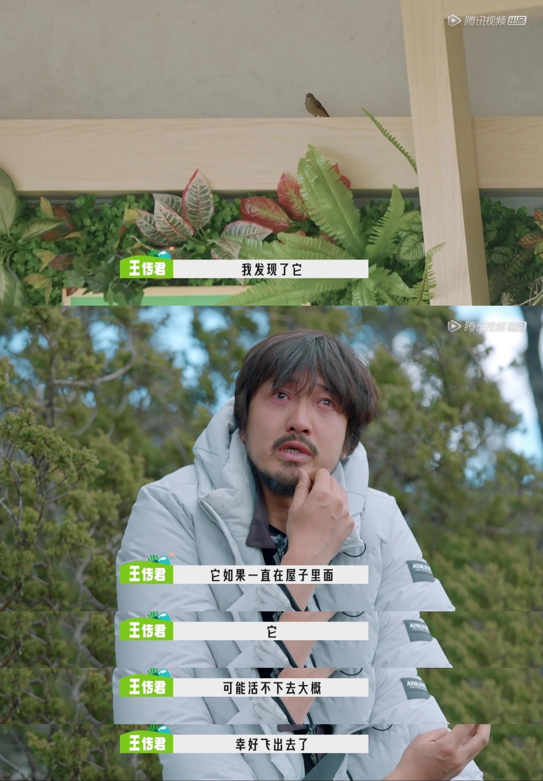 别人回桃花坞是录综艺，王传君回桃花坞是真·回家。嘴上说着“不比心不比心”，手却偷