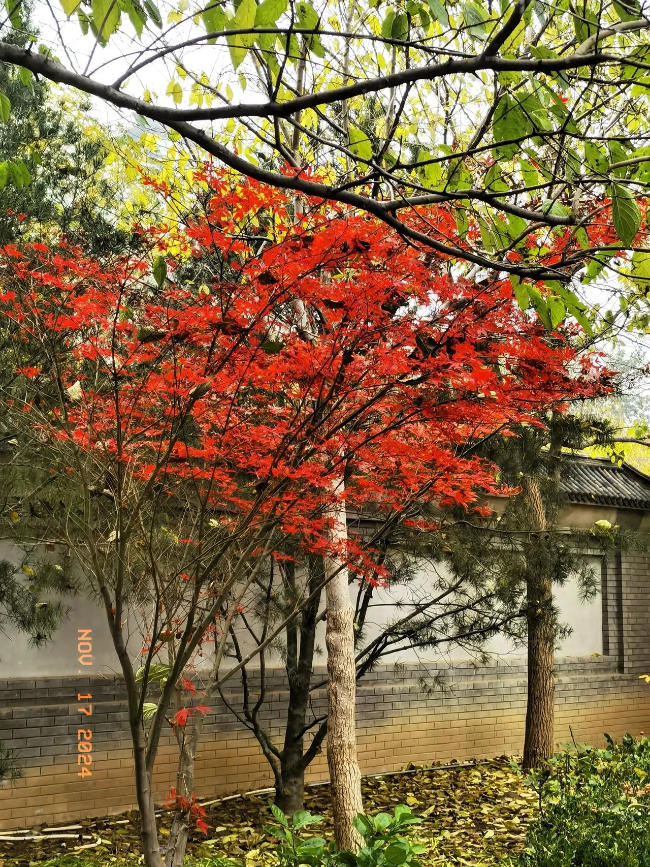 @见证北京的秋色 生活就像调色盘 
梦，不能做得太深，深了，难以清醒。
调，不能