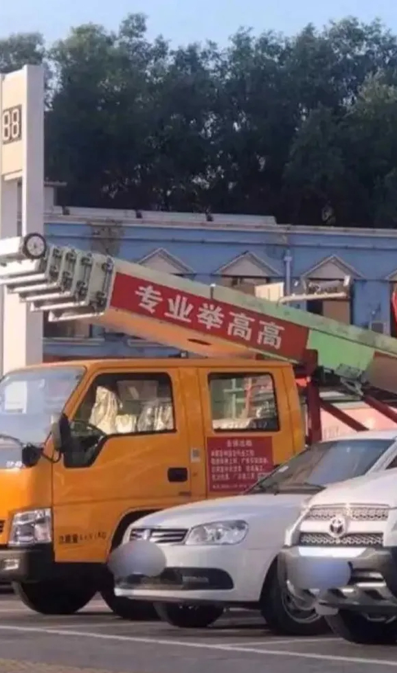 这是真专业
