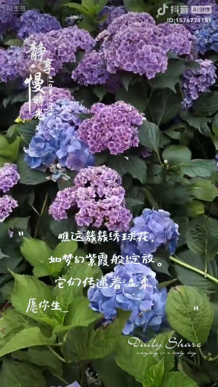 花草从来不言，却芬芳了人间。时间从来不语，却解答了所有问题。花不会一直开，但一直