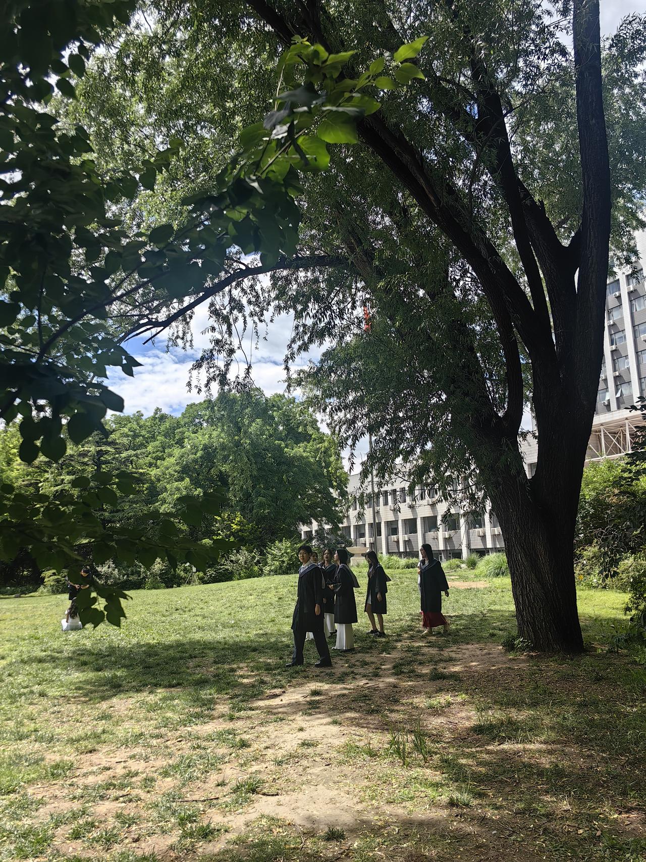 毕业季
分享手机随手拍 晒晒随手拍的云 北京林业大学 奔赴山海 姥姥手记 五零后