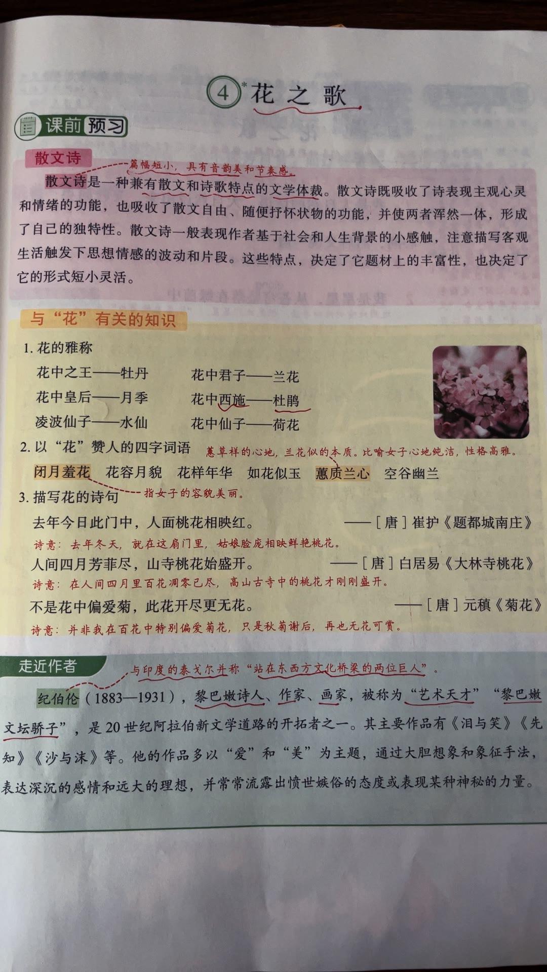 六年级上册语文：第四课《花之歌》重点笔记