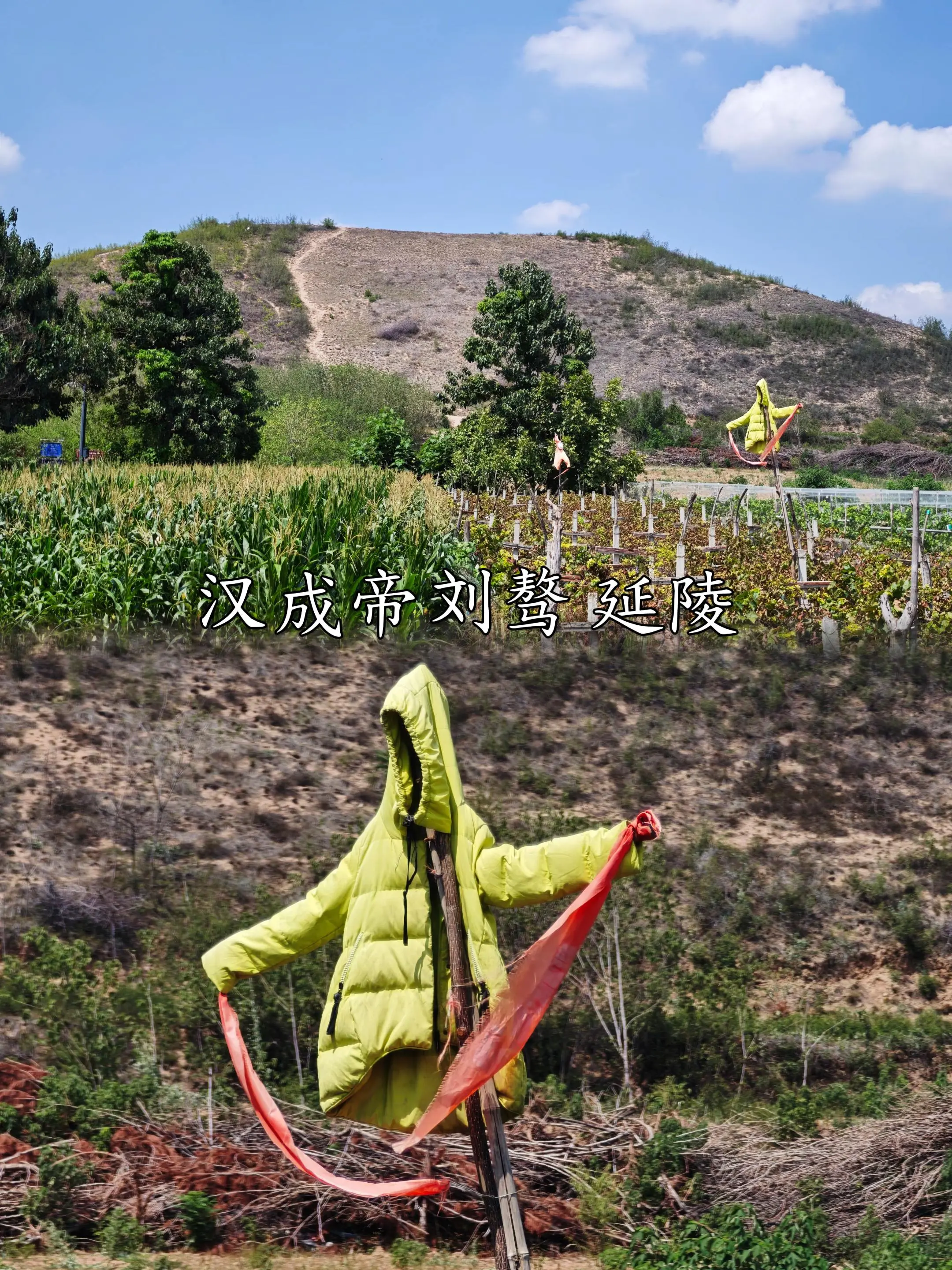 汉成帝延陵封土顶上视角。延陵封土顶上天气好的话可以看到：汉武帝茂陵，李...