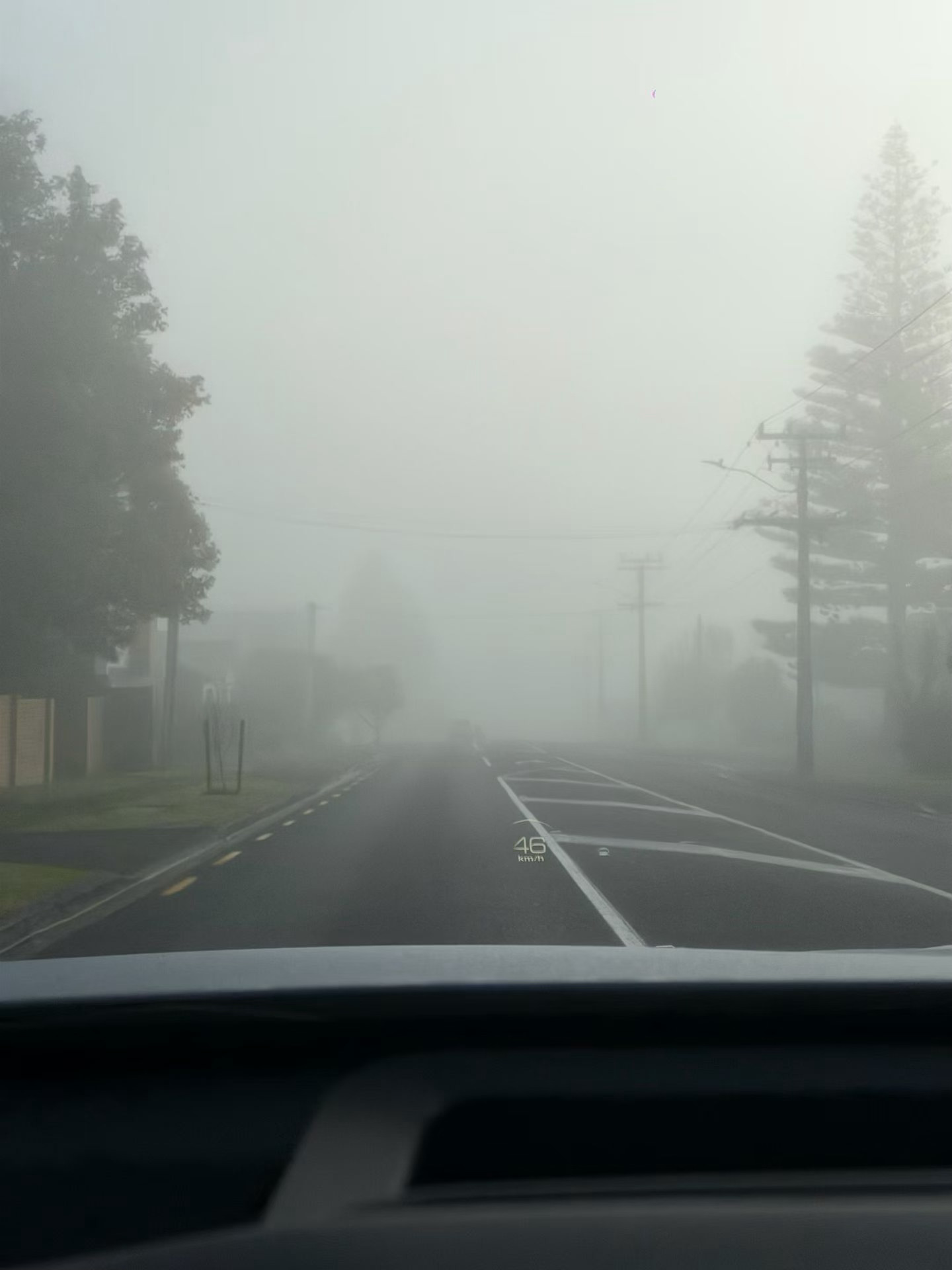 今天是被大雾笼罩的奥克兰生活手记