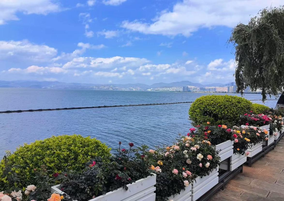 我的今日状态：😁轻松愉快
我这里的天气：☀️晴天