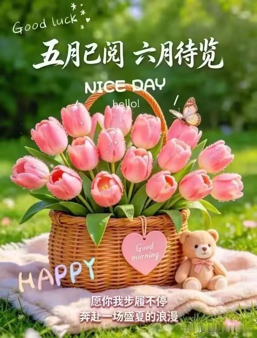 尘世的风韵，荡涤在时光的长河中，清浅相约，冷艳相随。生命，终如一道道风景，来了，