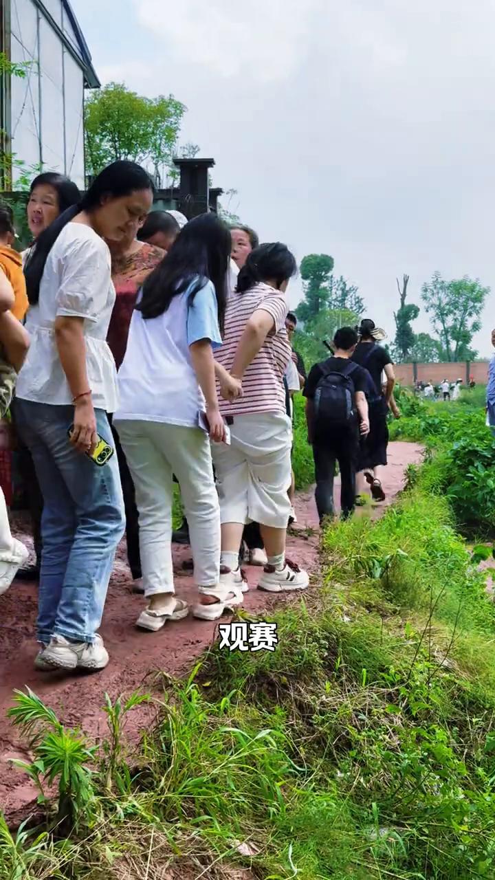为了看龙舟赛，重庆人太拼了。
给大家看一下重庆人为了看龙舟赛有多拼。今天数万人涌