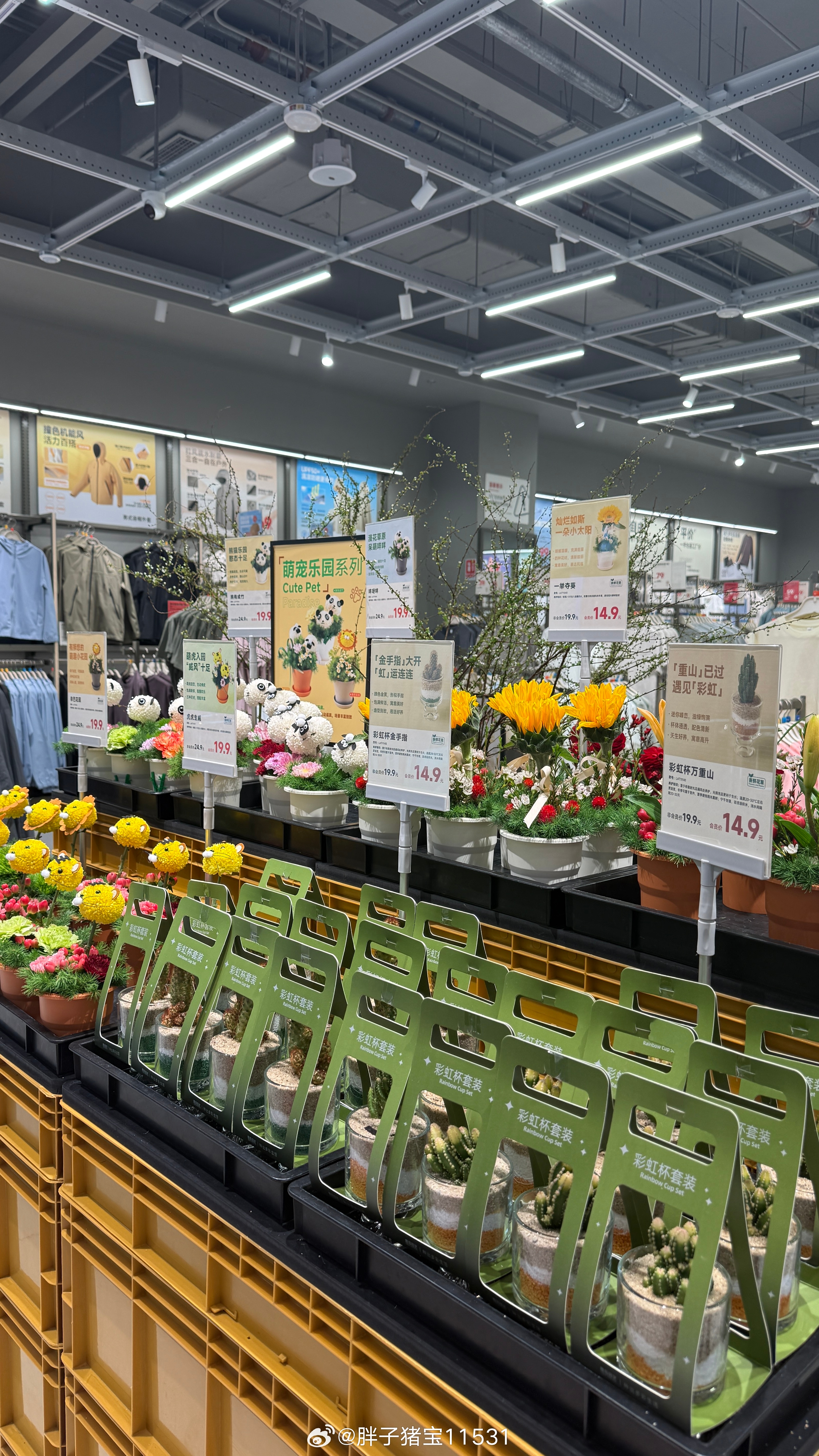 又是超高效的一天。早晨起来打咖啡煮小馄饨。先拉着爸妈去加油，然后去北大大兴院区，