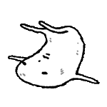 阿帕次来互动 
