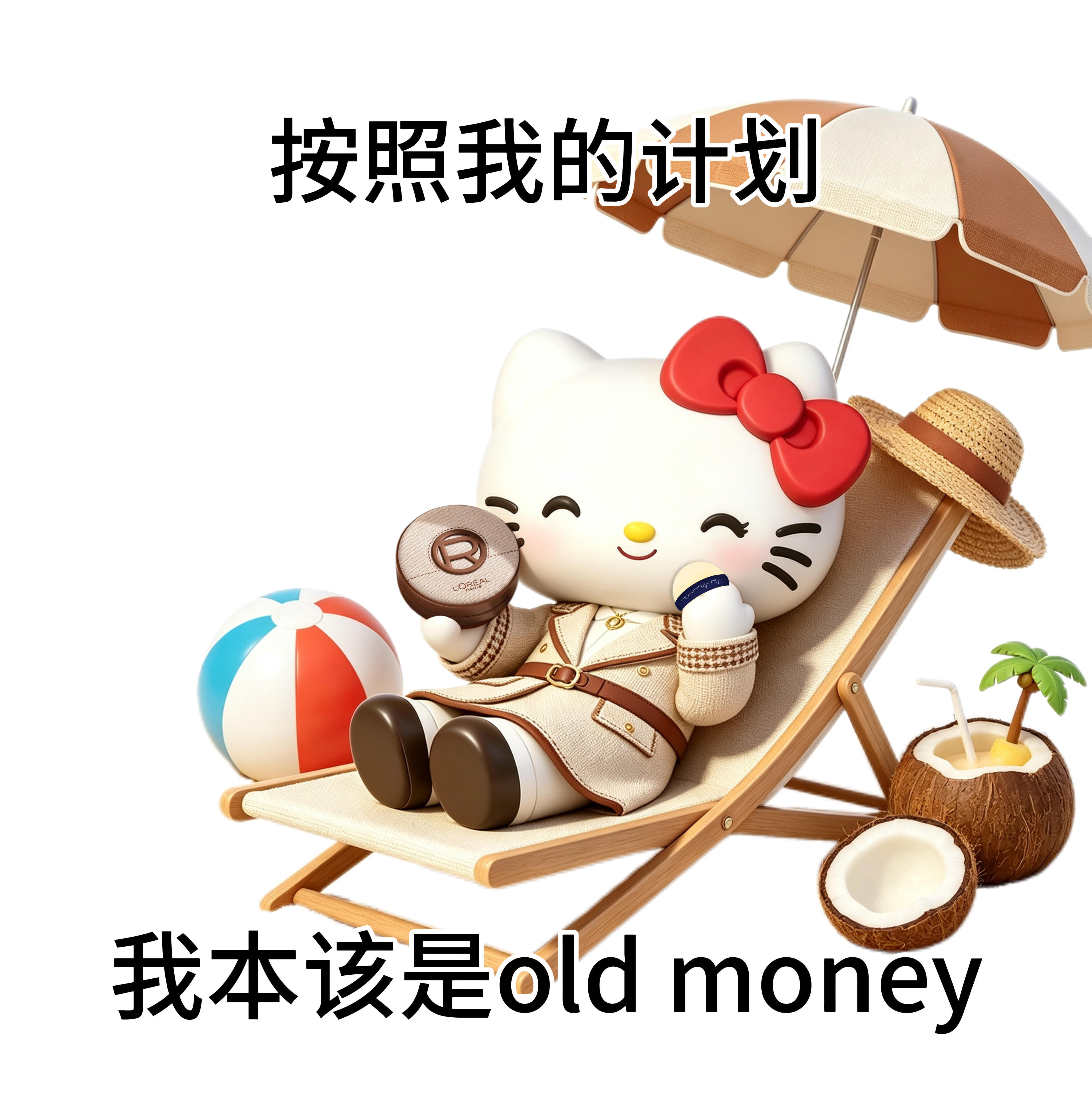 可爱kitty老钱风表情包 
