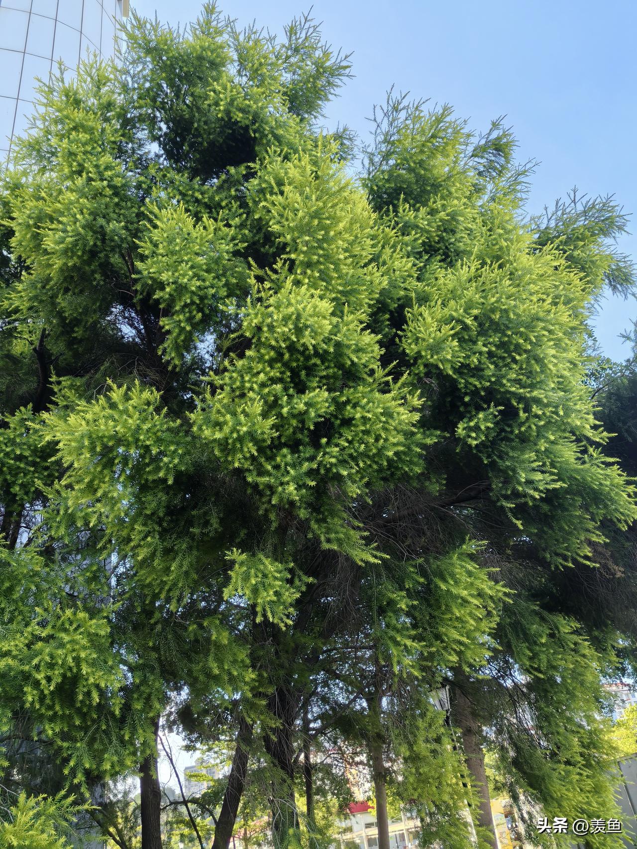 医院收费太高合理么?现在医院的收费跟以往的已经不同了。以往药品贵，现在药品零差价