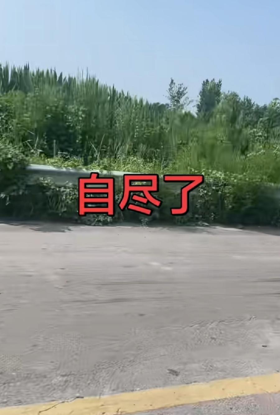 西平网友说，自尽了！前两天漯河一位女网友就说了，在她村里上吊自杀了，村里人上地里