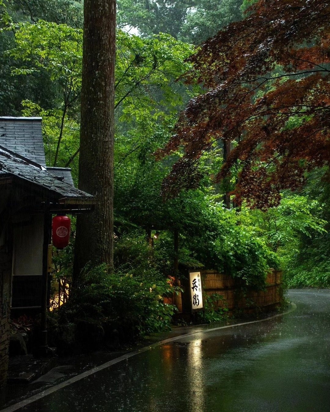 一场秋雨一场寒 （图源：X.com ​​​