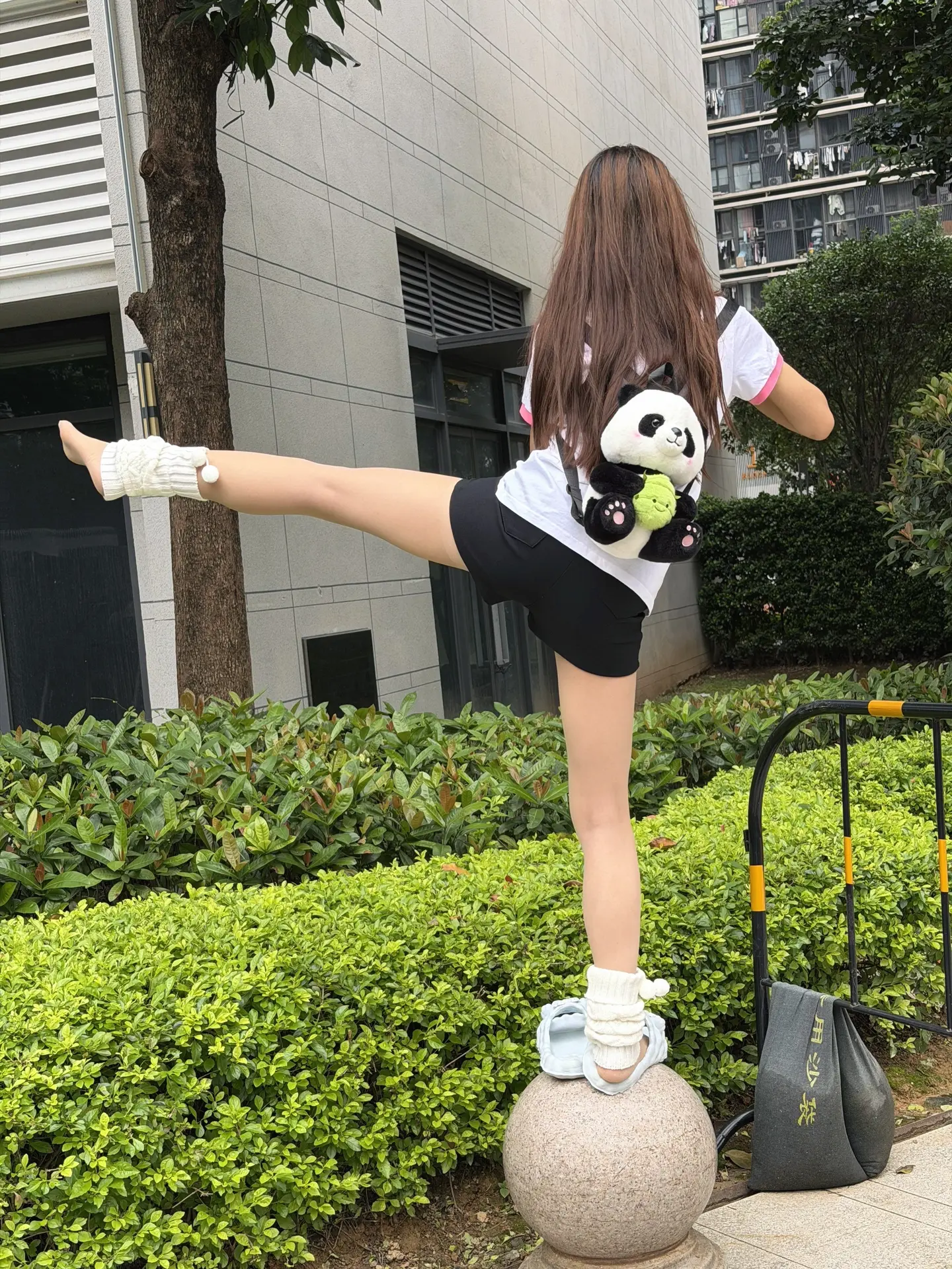 鼠牛功夫高 虎兔胆气豪