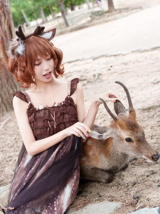 🇯🇵旅游碎片丨原来这就是小鹿乱撞的感觉🦌