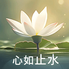 分享图片 