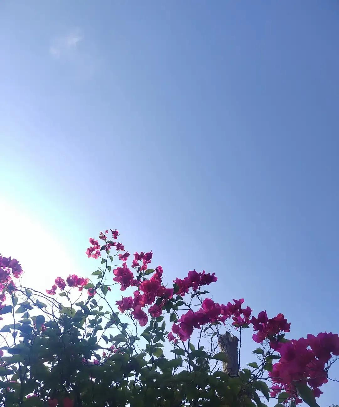 刷到热搜说“感情里最伤人的是欺骗”，三亿阅读，评论区全是深夜崩溃的真人真事。
有