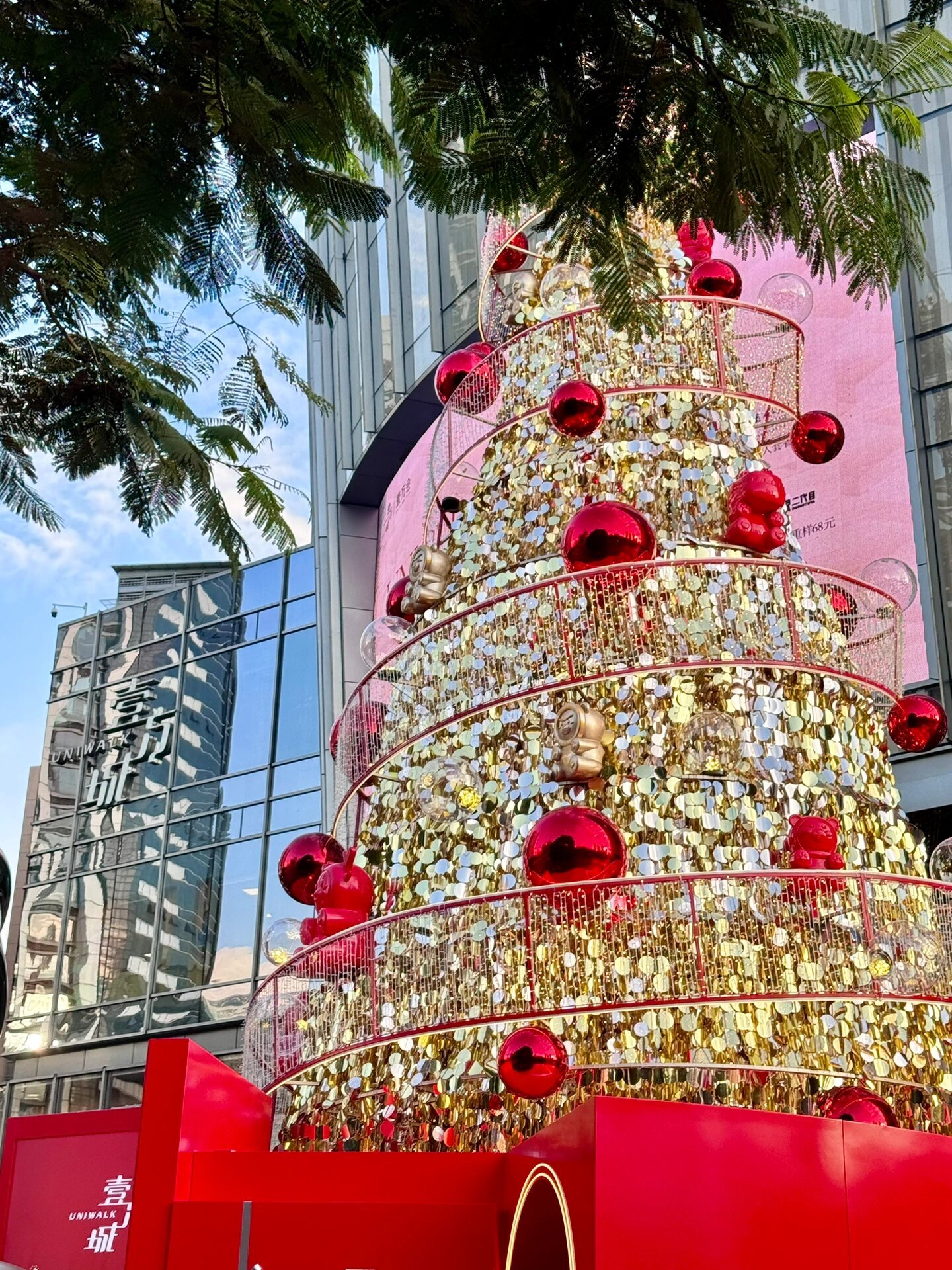 深圳真的一秒入冬了🥶入冬以来我的表现就是吃得多！睡得多！[猪头][猪头]又可以