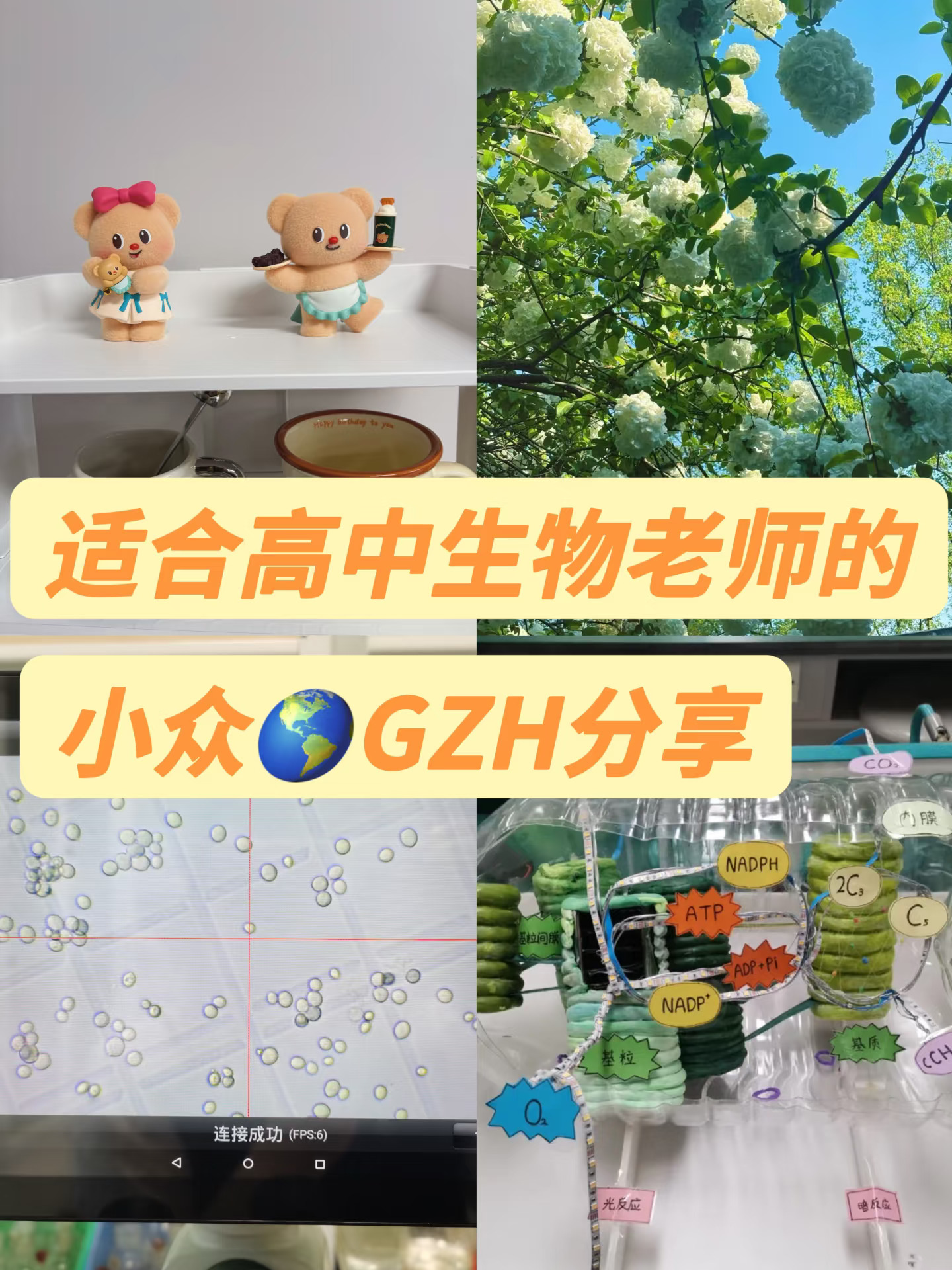 毫无保留，真心分享