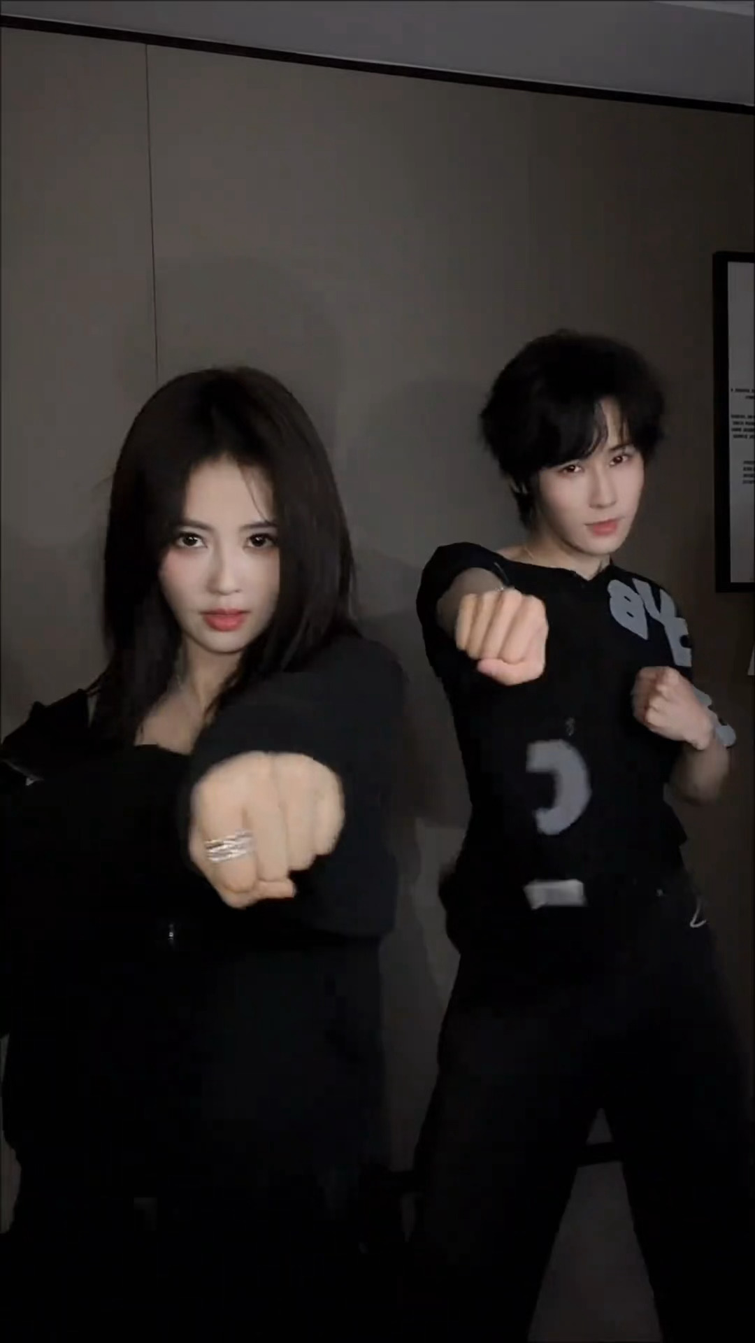 白鹿张真源共创跳了nobatibao，菠萝披萨姐弟这个表情管理这个力度舞得太带劲