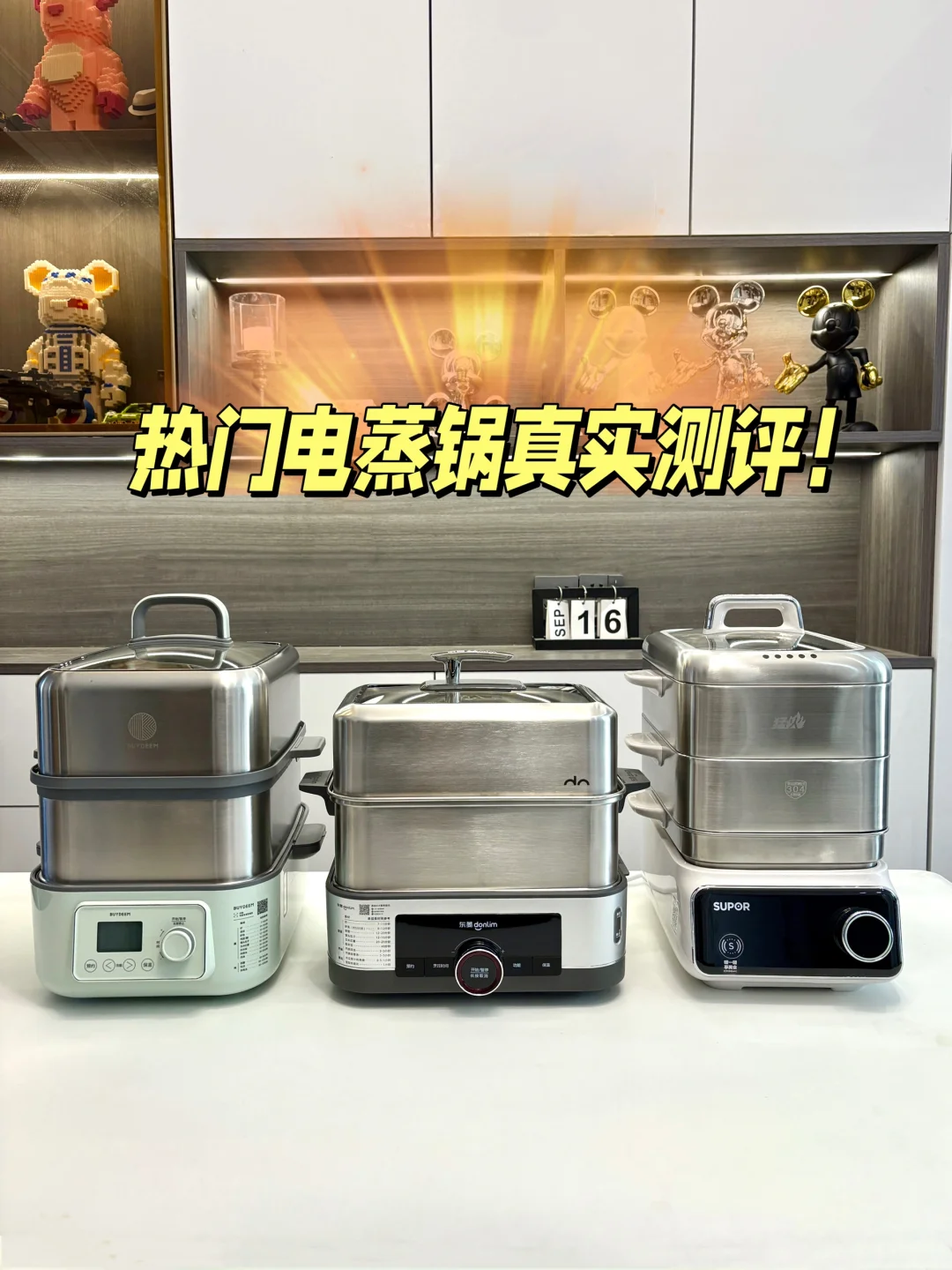 电蒸锅别急着买‼️深度测评告诉你怎么选🔥