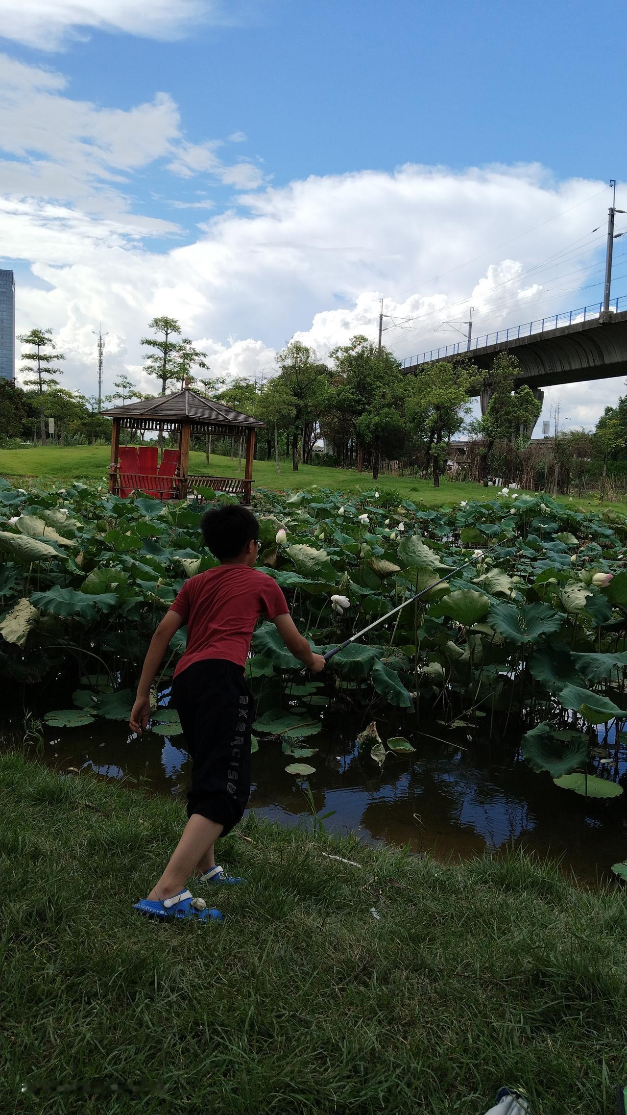 我和儿子的相处。
在儿子出生之前，我已经辞职自己创业了。在创业的这几年里我没天没