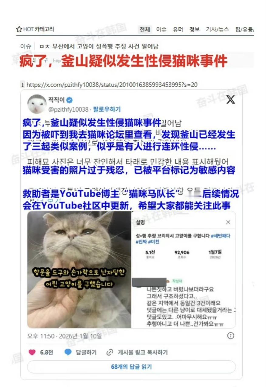 最近刷到韩国釜山的事儿真的要气炸了，居然曝出疑似小猫被性侵的恶性事件，还是连环作