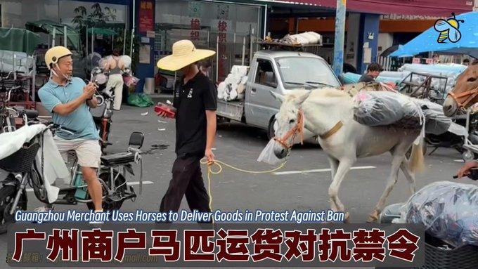 广州中大轻纺城街上出现少见一幕。
商户牵着两匹马，马背上捆满成卷布料，沿着马路慢