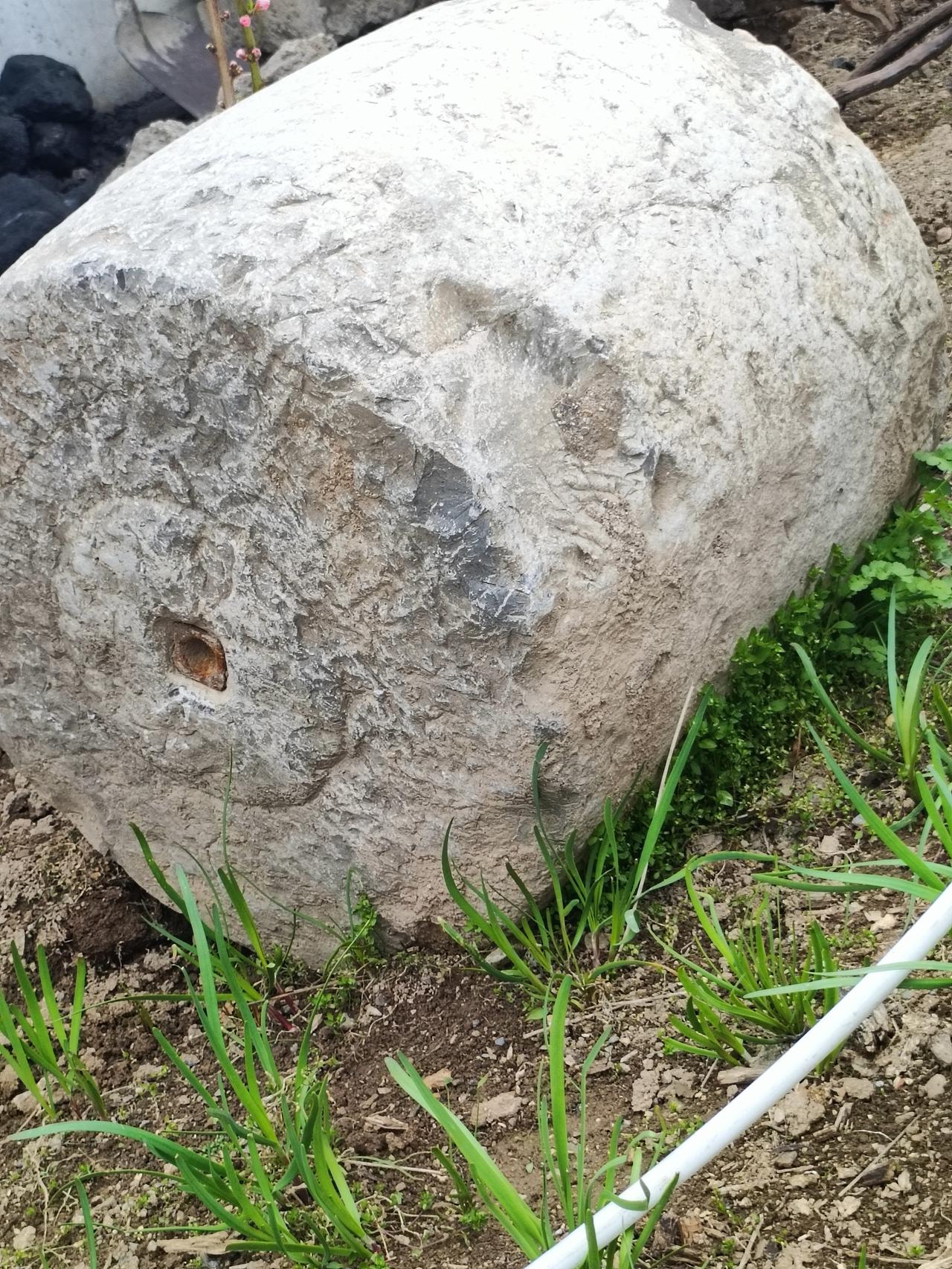 春日生活打卡季老石碾静卧在春草里，锈钉还嵌着旧时光的温度，风一吹，就想起从前磨面