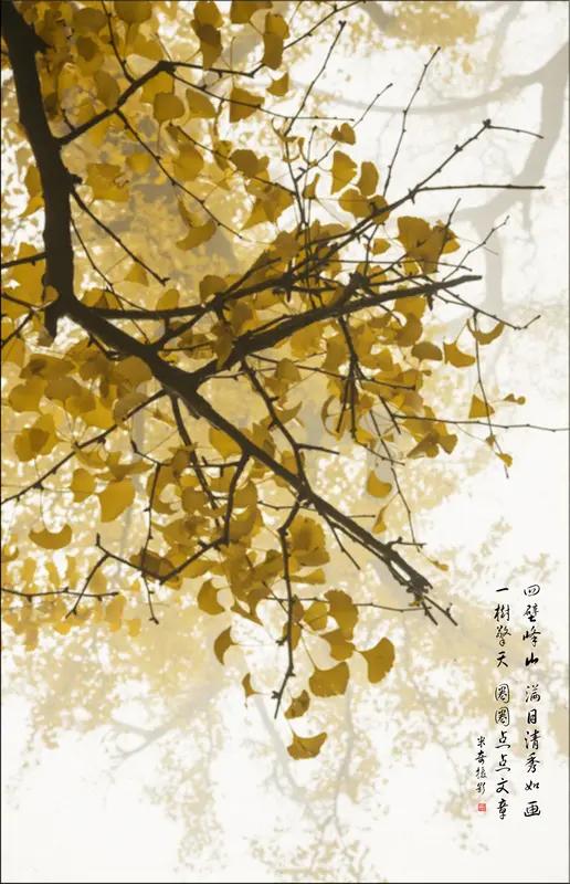 《银杏秋梦图》，光是名字就充满了诗意。我接着为它续写的故事是这样的：
画面里银杏