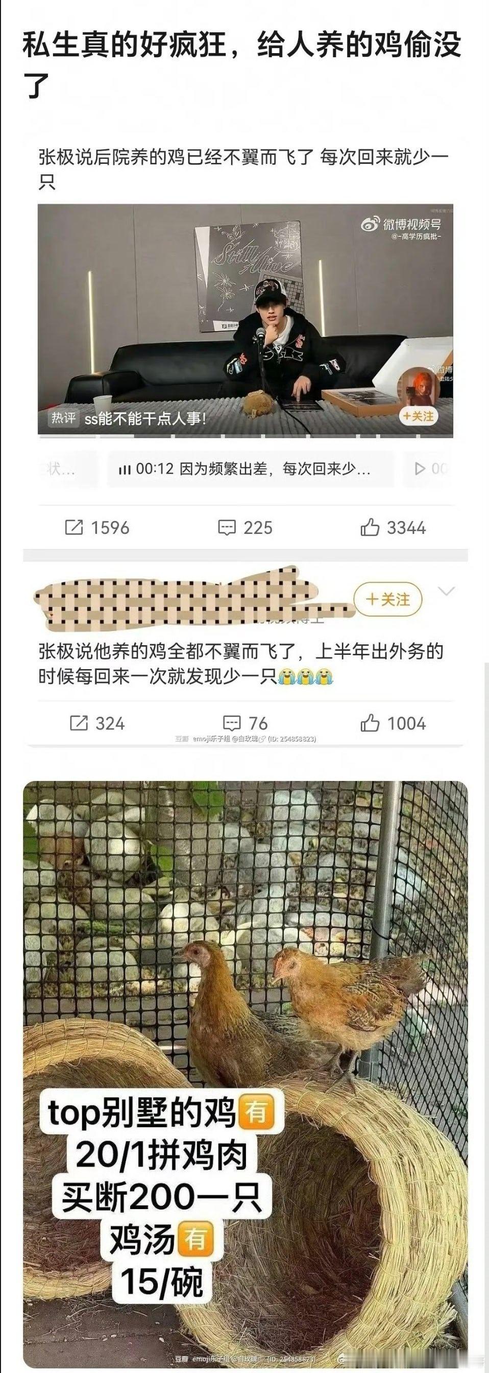 楼私生偷张极养的鸡卖200一只 